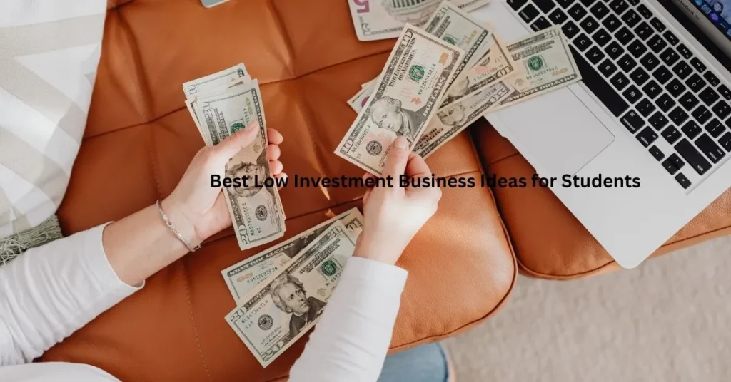 Best Low Investment Business Ideas for Students